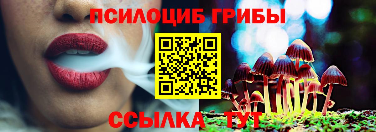 Галлюциногенные грибы GOLDEN TEACHER  Галлюциногенные грибы Psilocybine cubensis  Вход с VPN  Реутов 