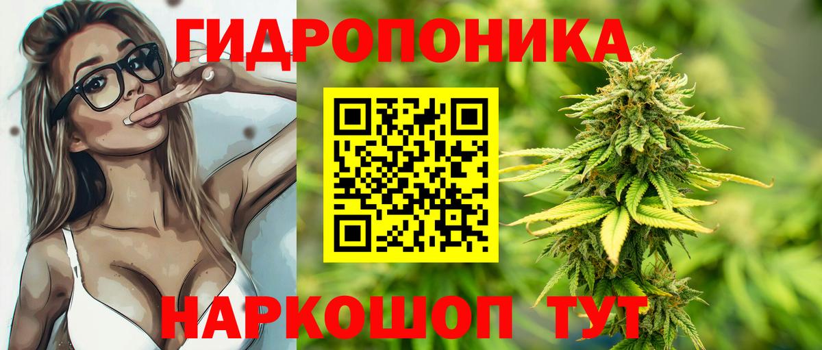 Бошки Шишки LSD WEED  Вход с VPN  Конопля конопля  Реутов  Марихуана Ganja 